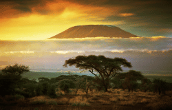 14 Days Single Entry Tourist Visa